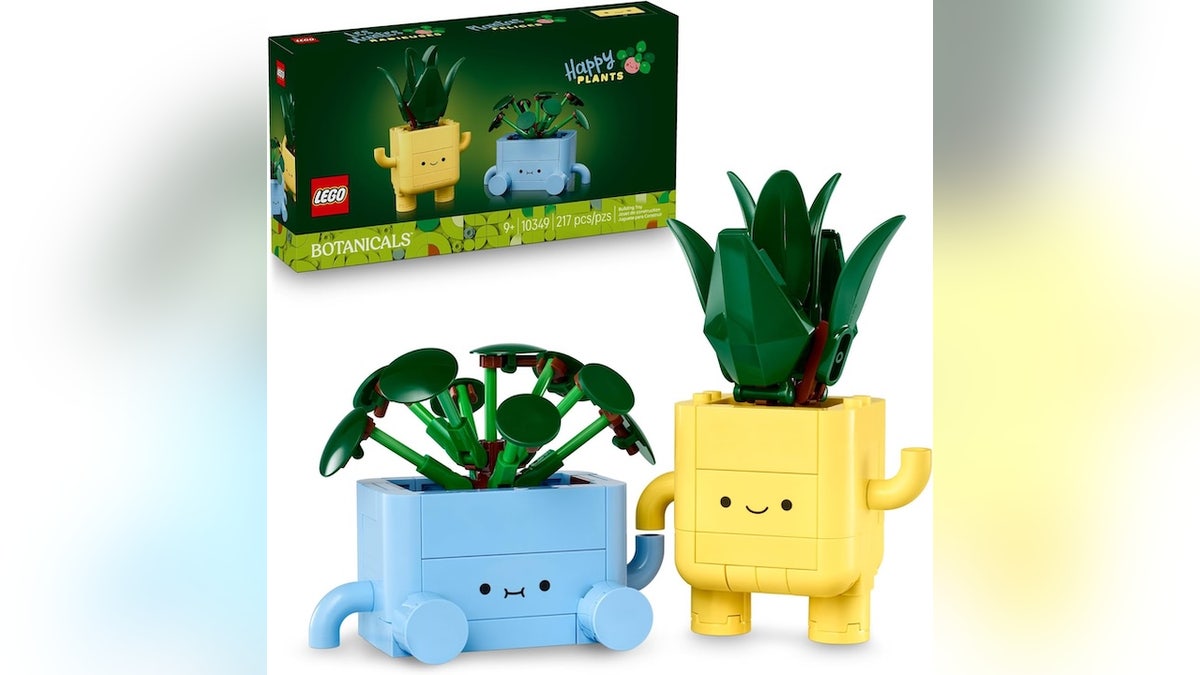 Create a display of happy plants, perfect for any desk.