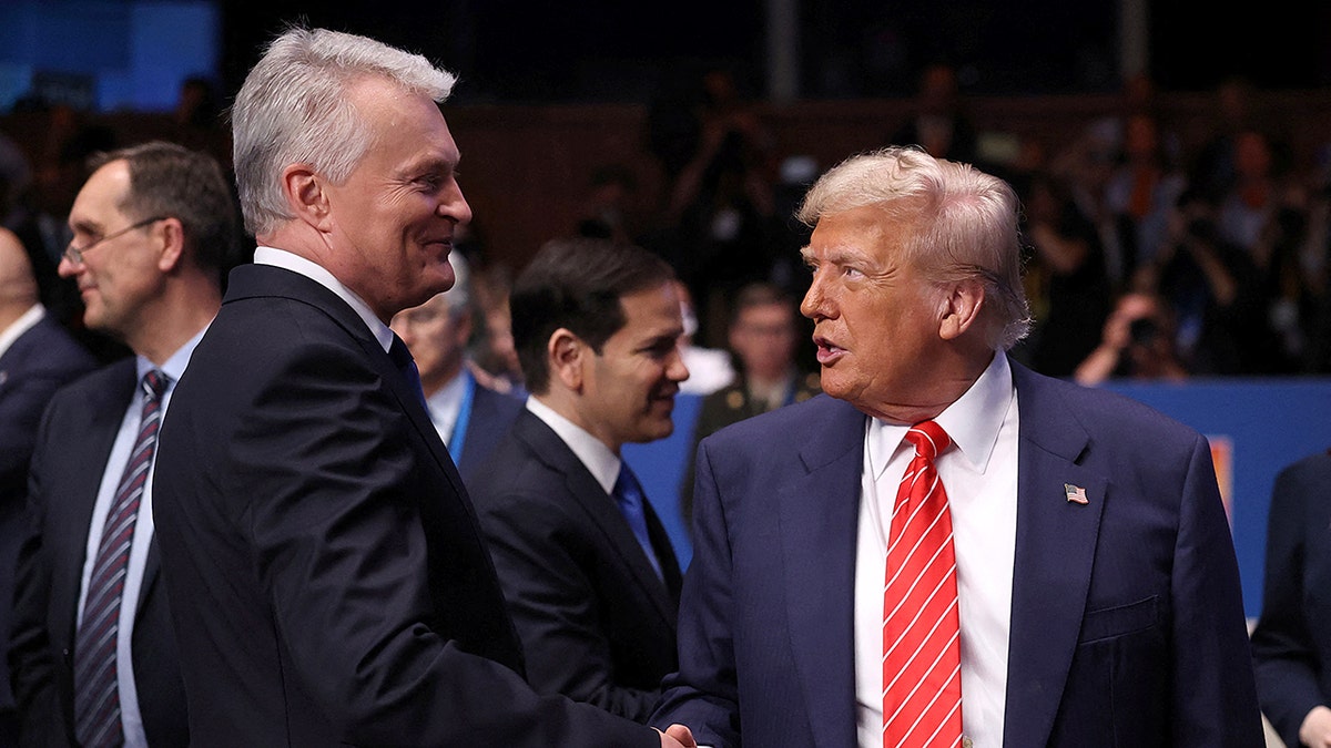 Litvanya Cumhurbaşkanı Gypsda ve Başkan Donald Trump