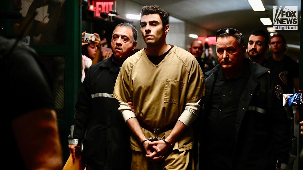 Luigi Mangione appears in court