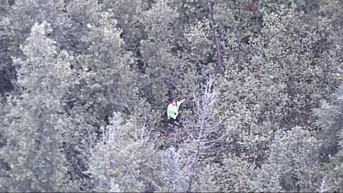 missing woman in dense forest looking up at helicopter