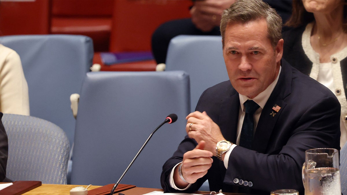 Waltz promises US will defend 'every inch' of NATO territory after Russian jets flew into Estonia