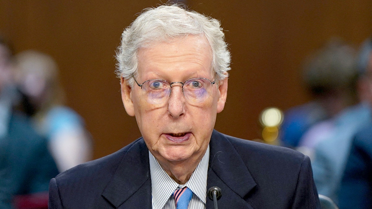 Mitch McConnell spoke at the hearing.