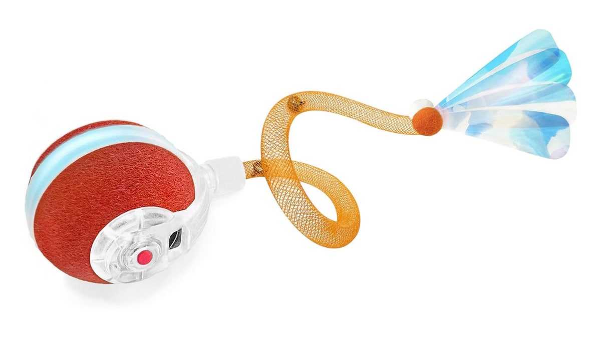 Treat your cat to an engaging mouse chase.