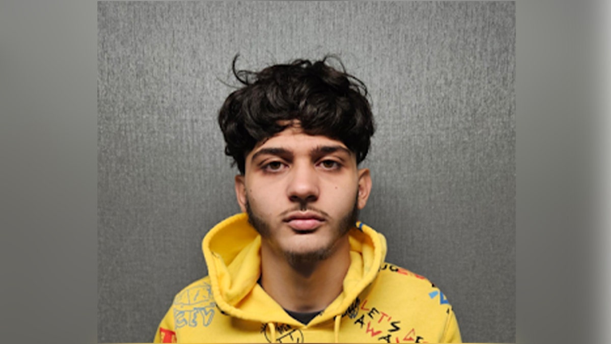 Naef Salmo mugshot