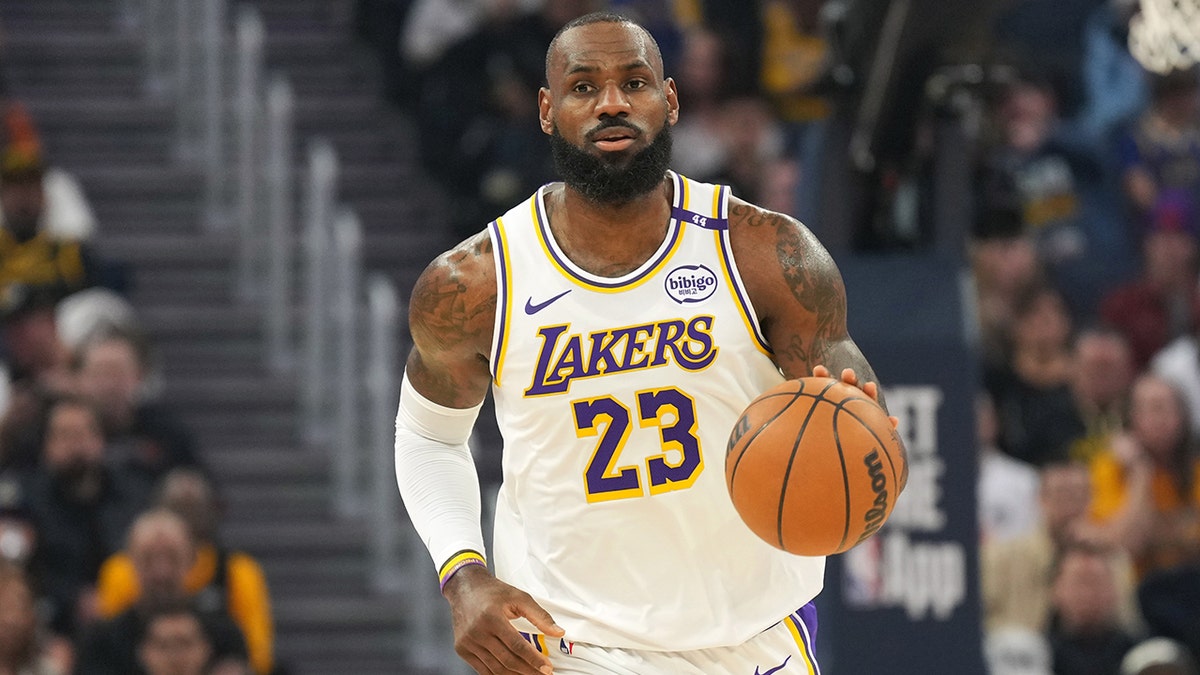 LeBron James Diribbles