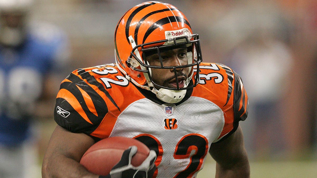 Rudi Johnson against lions