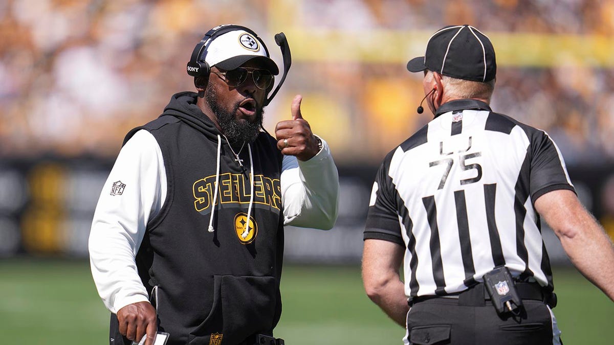 Mike Tomlin argues