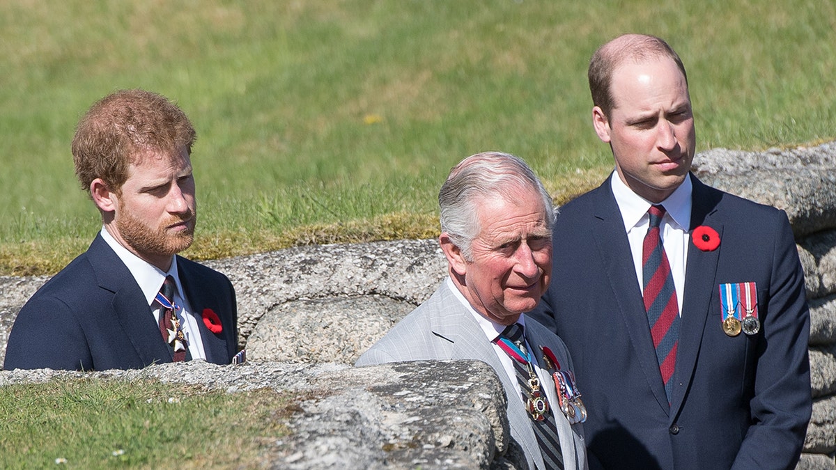 Prince Harry walking behind King Charles and Prince William in a field.