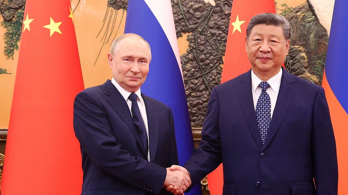 Putin meets Shi Jinping