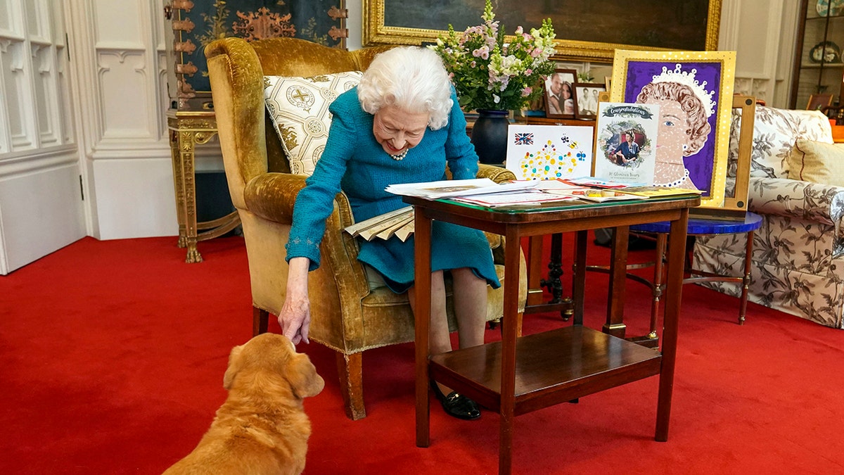Queen Elizabeth petting her corgi as she sits in front of her desk.
