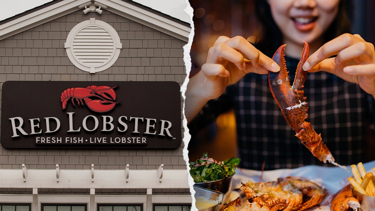 Red lobster logo for woman eating lobster