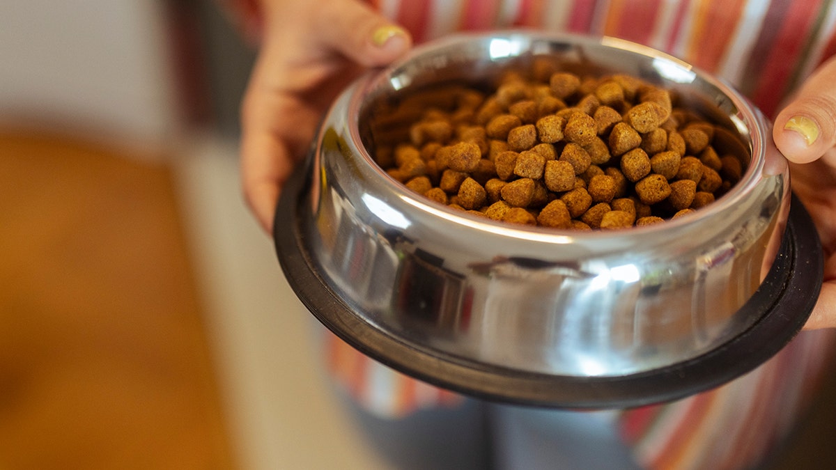 Woman holding dog food