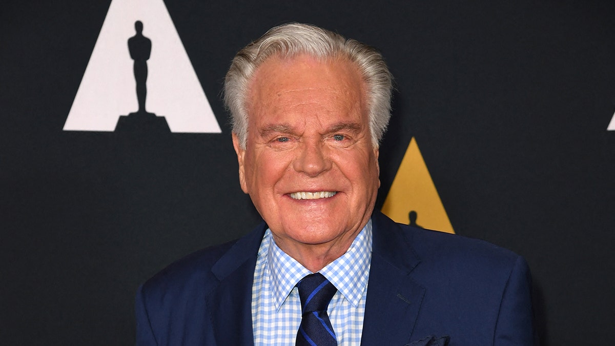 Robert Wagner smiling in a suit.