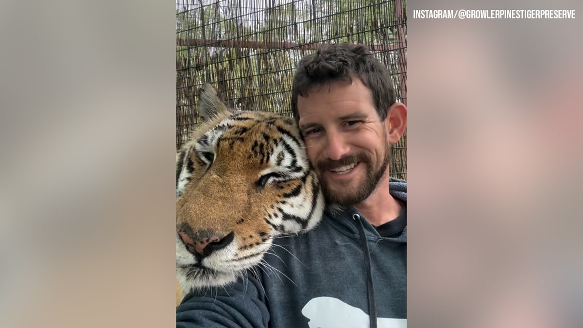 Ryan Easley with a tiger