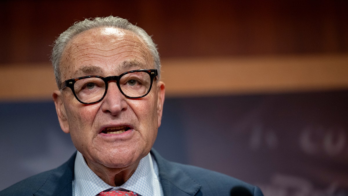 Senate Majority Leader Chuck Schumer speaks on shutdown