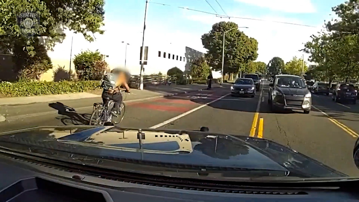 A shirtless man on a bicycle fleeing from a police cruiser in the wrong lane