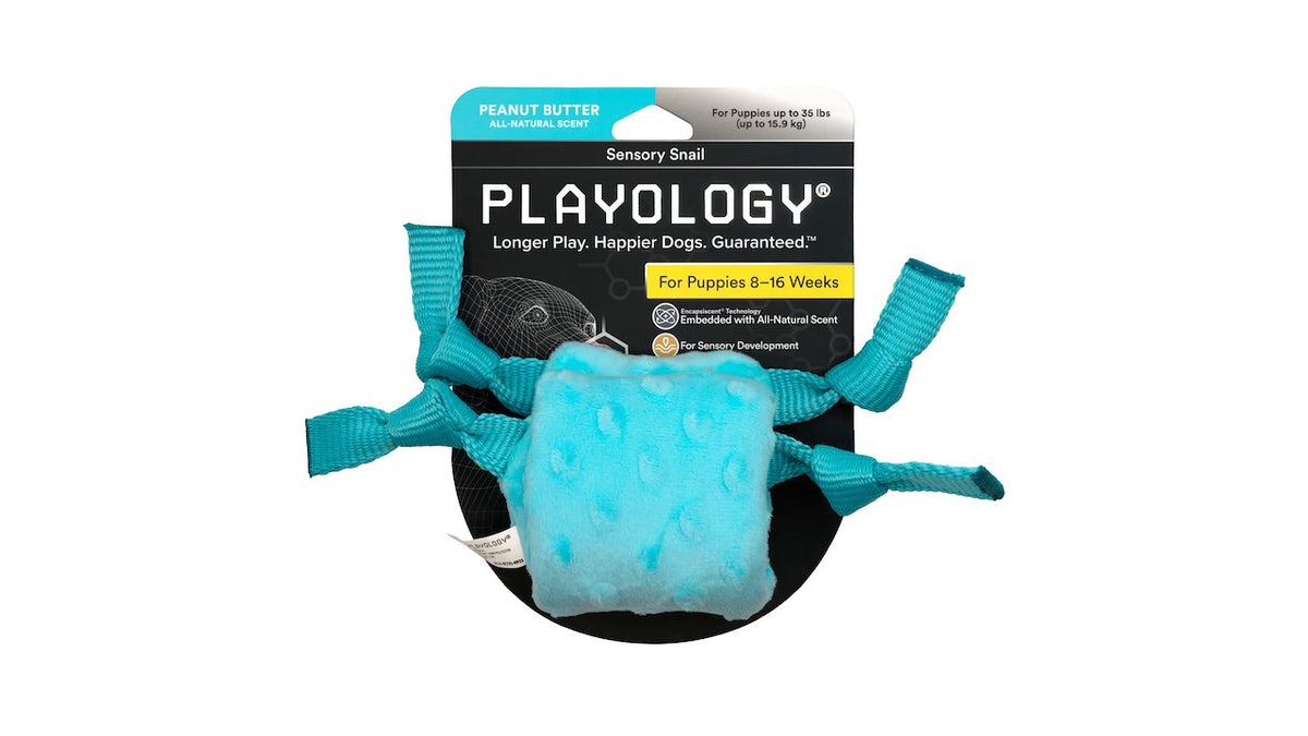 Help puppies develop these senses with this scented toy.