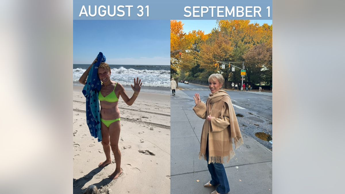 Barbara Corcoran bikini