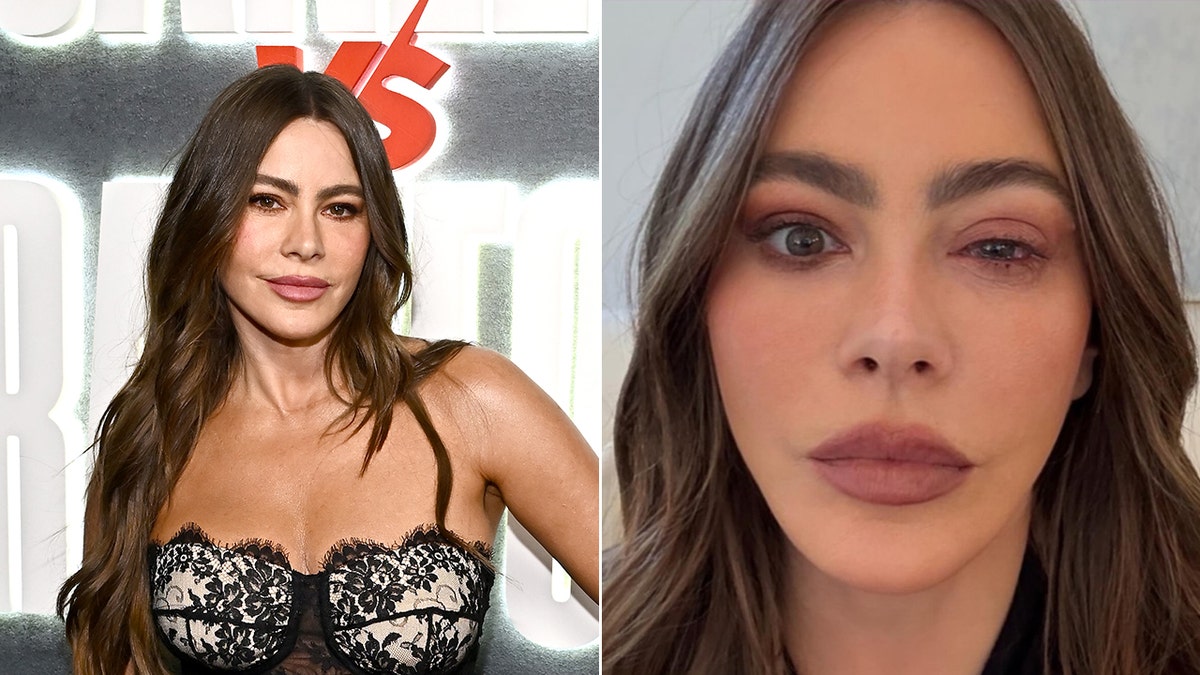 Sofia Vergara