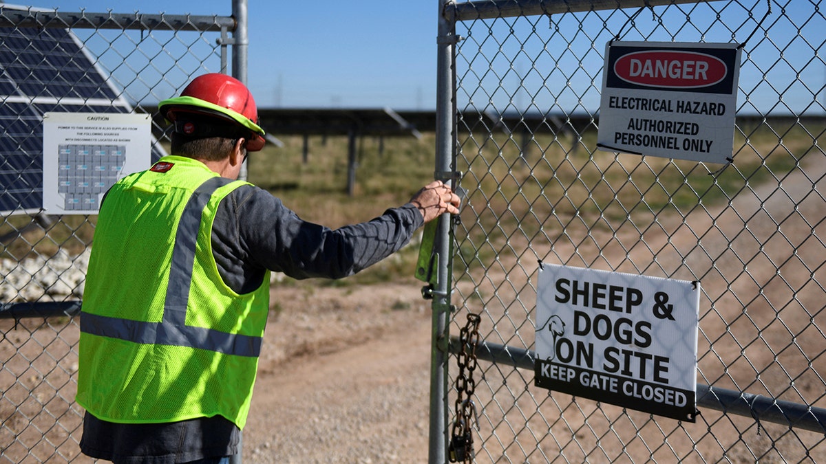 Texas solar panel zone allows sheep to graze