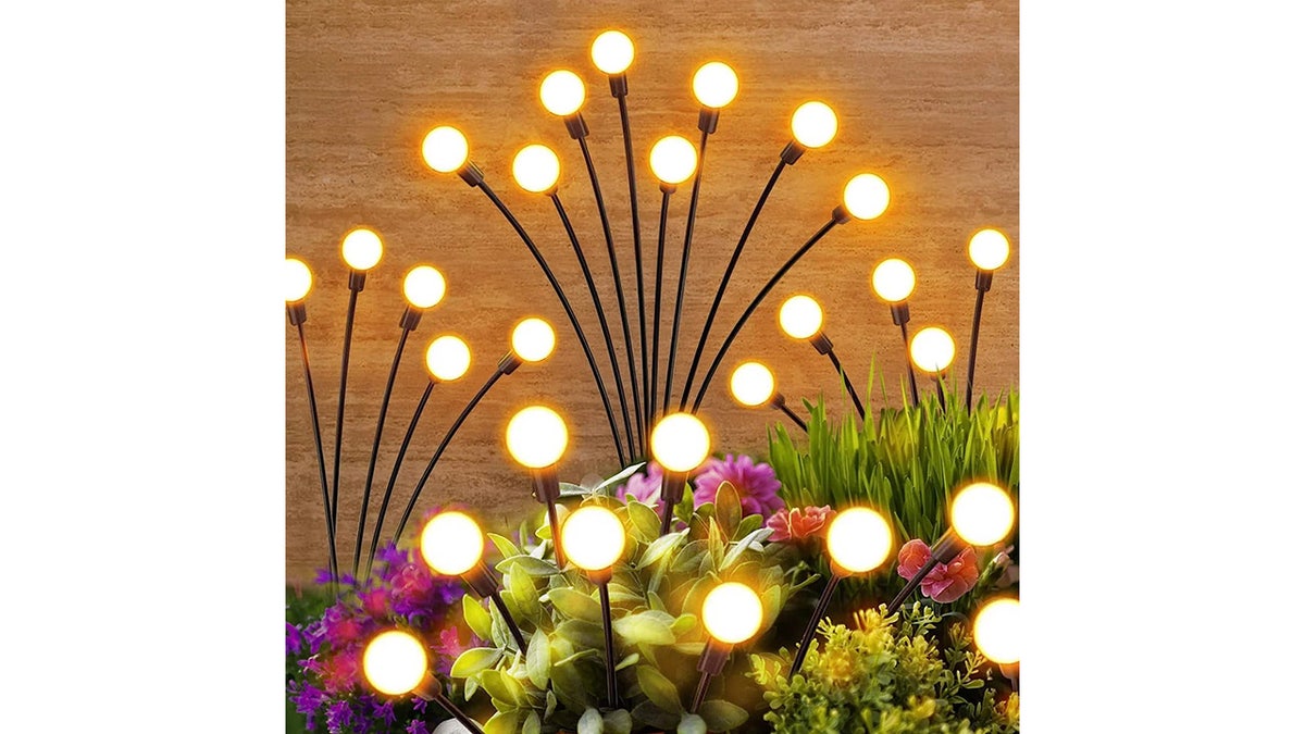 Light up your pathway with these lights.