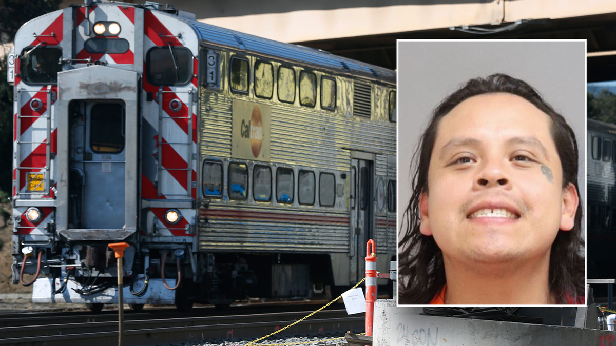 Train stabbing suspect named 