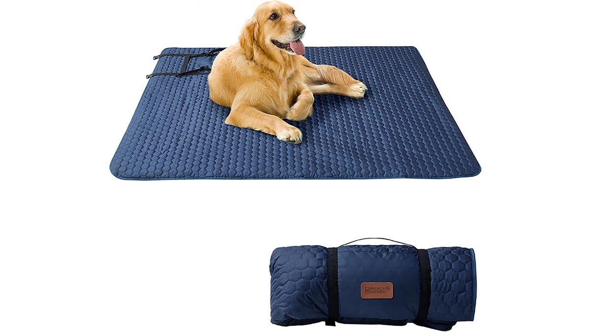 This travel dog bed is machine washable.