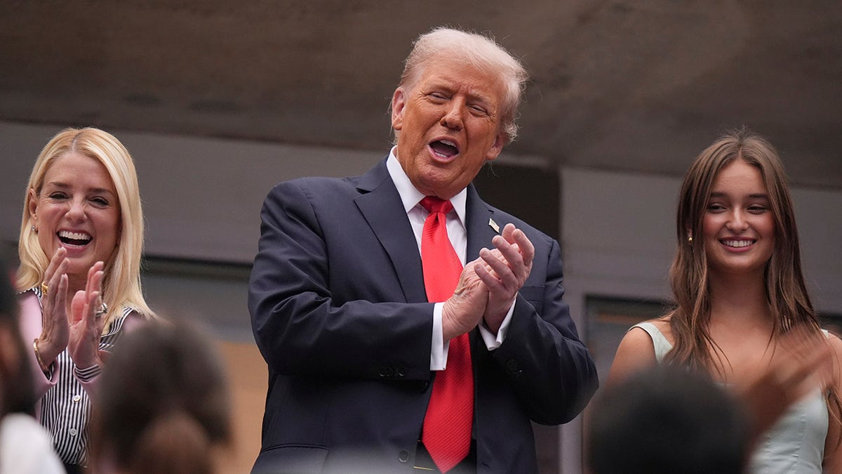 Trump in the box