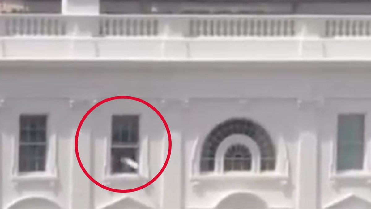 A video that Trump said it was a false seemed to show objects thrown out a window in the White House