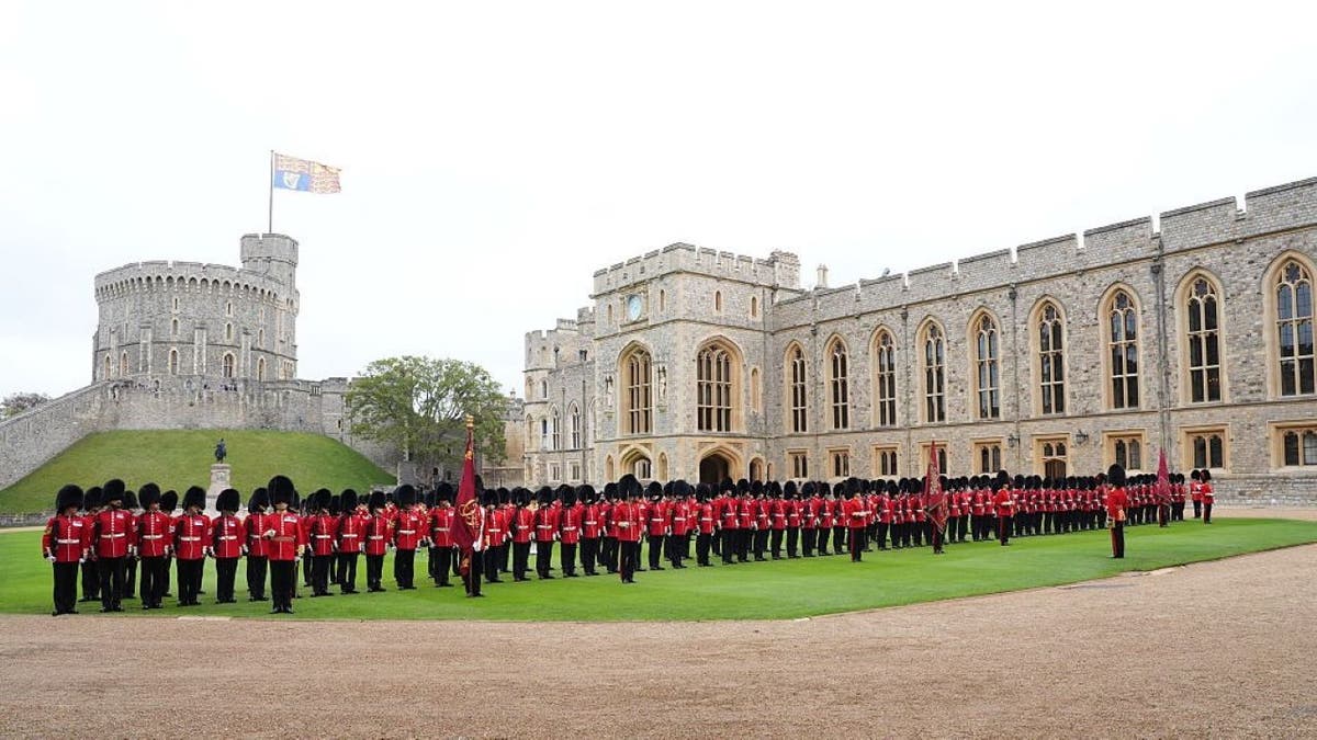 windsor guard