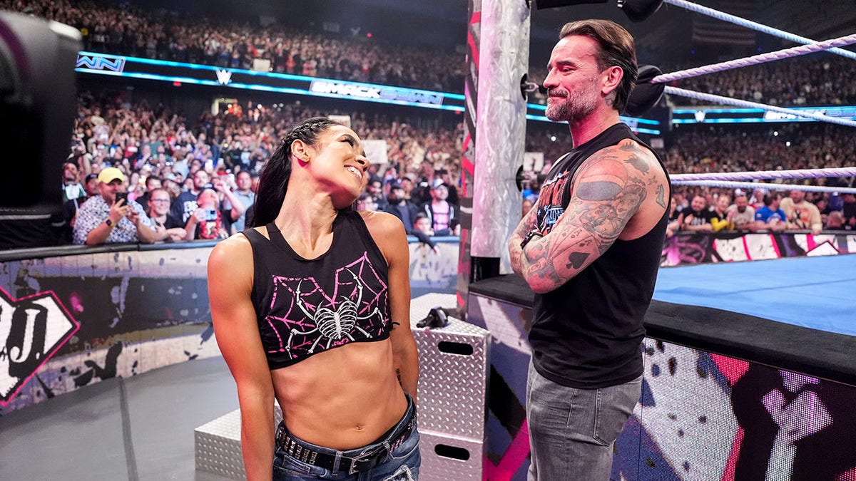 AJ Lee looks at CM Punk