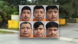 Six Guatemalan illegal immigrants arrested in Florida
