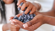 Eating blueberries earlier in life could ease allergies, strengthen immunity, new study finds