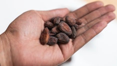 Cocoa extract could slow aging process in older adults, 'promising' new study finds