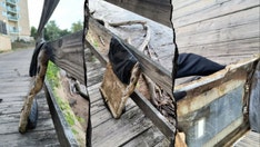 Dog-walking man stumbles on suspected debris from Reagan National plane crash 7 months later