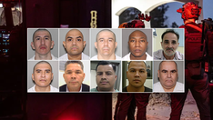 Massive ICE operation nets gang members, murderers, child predators: 'wreaked havoc'