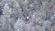 YouTube survival show contestant rescued in densely wooded Michigan area