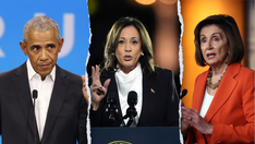 Obama, Pelosi, other top Dems resisted instant Harris endorsement citing need to 'earn it,' 'hiking' excuse