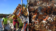 Lost royal palace destroyed in bloody invasion resurfaces in river, archaeologists say