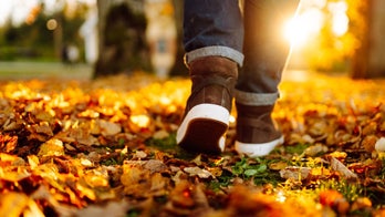 Fall walking must-haves: Jackets, gloves, reflective gear and portable treadmills