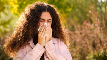 Beat fall allergies with these air purifier deals