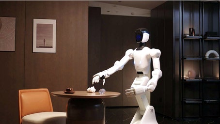  AI and humanoid robots surge in 2025: Industry sees explosive growth ahead