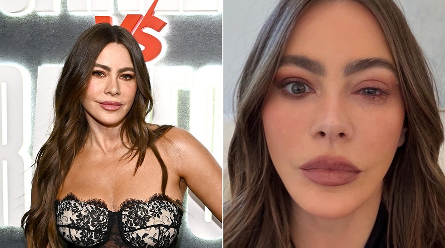 Sofia Vergara explains what she admires about her fellow 'America's Got Talent' judges