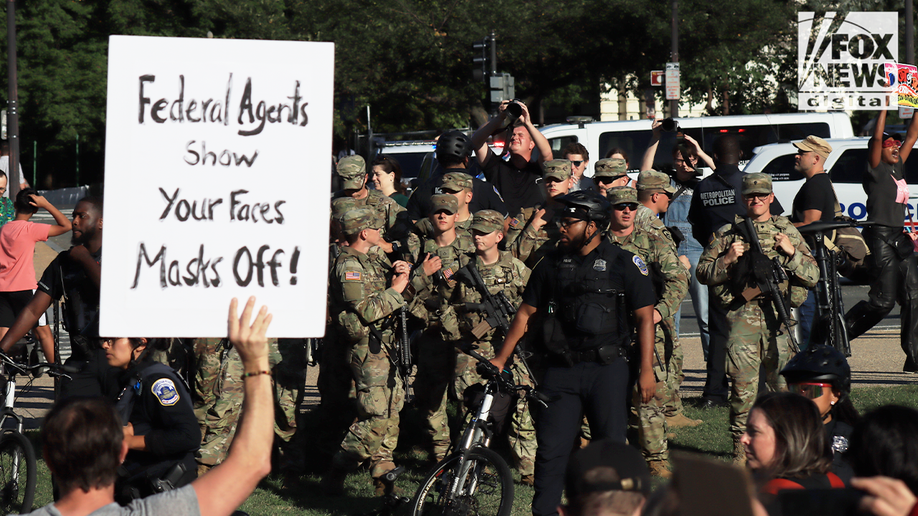 protester at the national mall