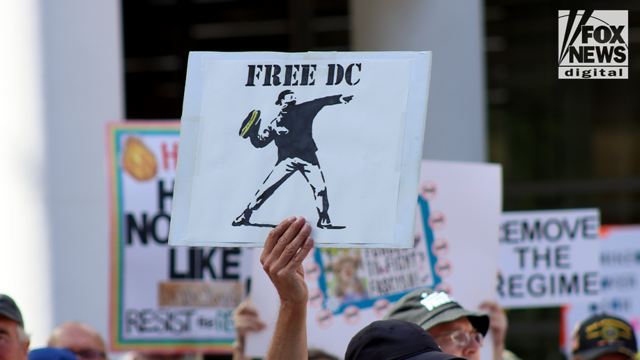 protester free dc sign