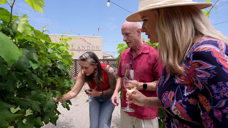 Texas winery beats Napa elites with small-town savvy and top-notch taste