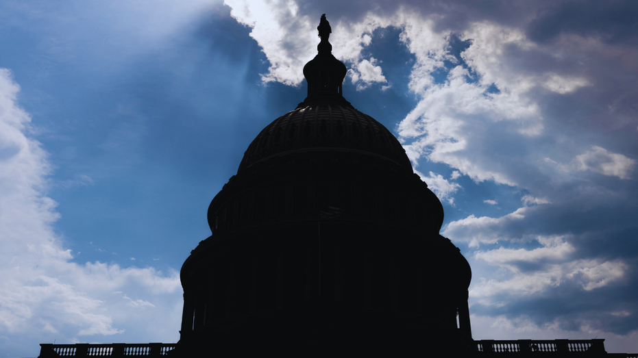Shutdown fight casts a shadow over jobs as Trump prepares for largest federal resignation in US history