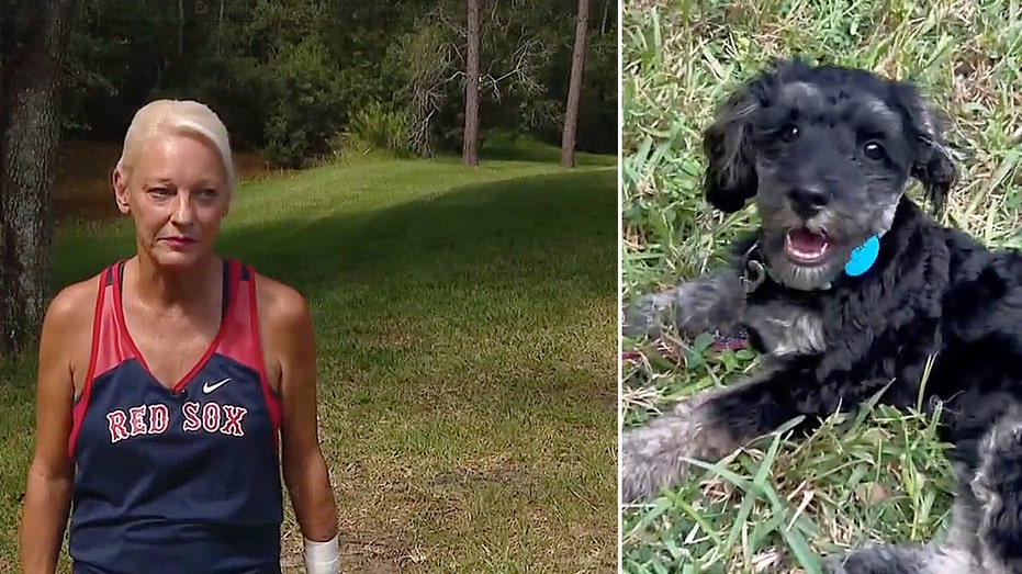 Florida woman wrestles alligator to rescue puppy it dragged into creek