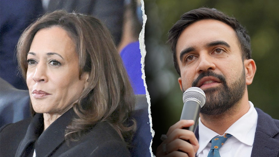Harris offers timid endorsement of Mamdani, quickly pivots to other 'star' Democrats