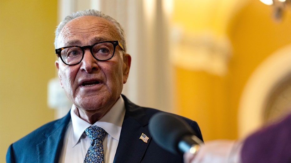 Schumer pressed by CNN on delay in endorsing Mamdani, reason for holdup in offering support